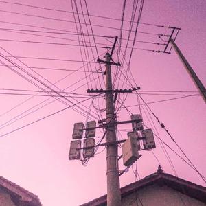 友田真希社长和夫人
