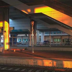 友田真希社长和夫人
