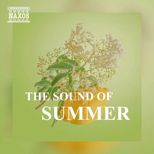 友田真希社长和夫人
